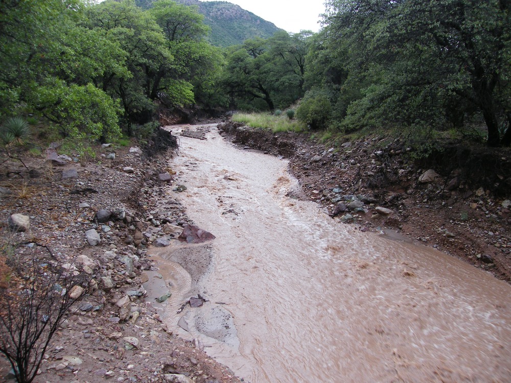 2008 Flood Damage