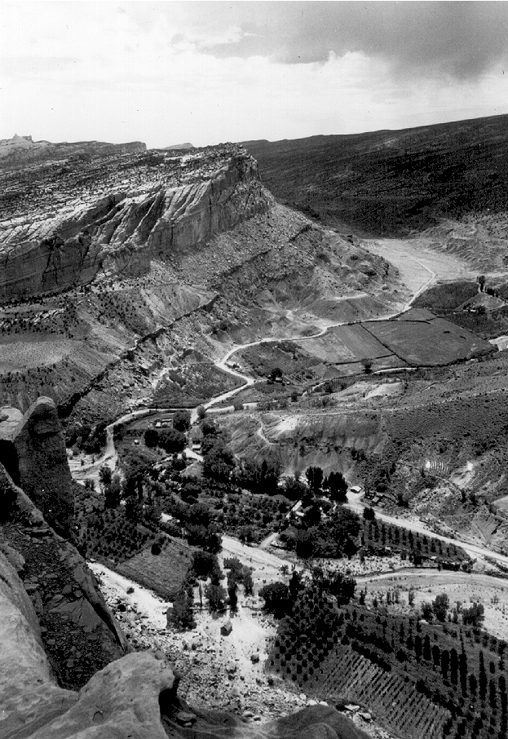 Fruita in 1931
