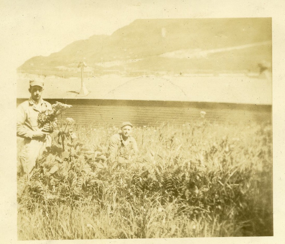 Man in a field