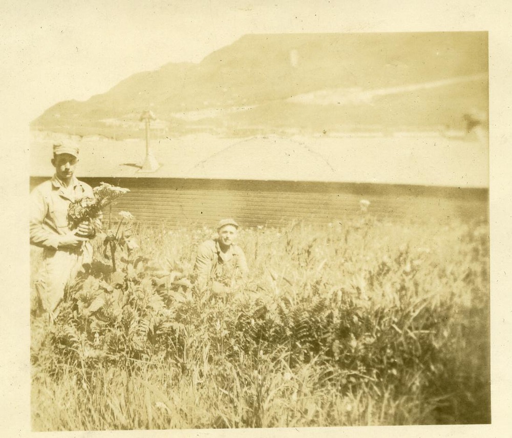 Man in a field
