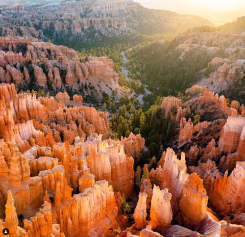 An aerial view of the amphitheater at sunrise.