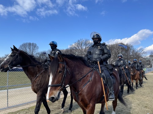 Group of mounted U.S. Park Police officers riding horses next to a fence