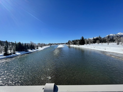 Snake River at Moose, WY looking downstream, March 19, 2024.