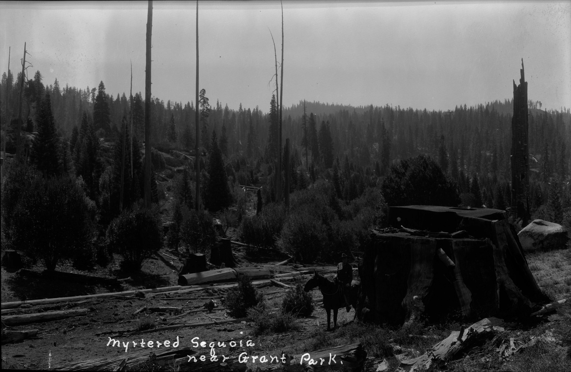 SEKI Roberts Collection Series: 2 Negatives; 8 Logging