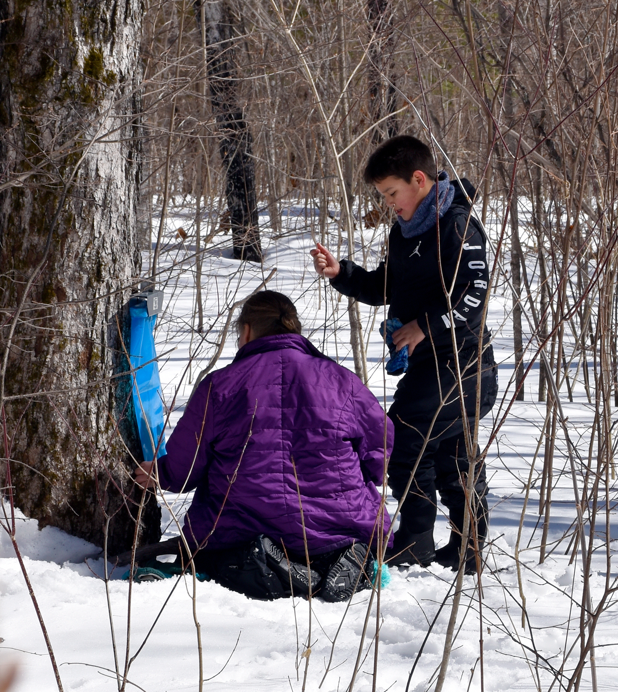 Two children, one kneeling wearing a purple jacket and one standing wearing a "Jordan" logo jacket, straighten a blue plastic bag hanging from a tree trunk.
