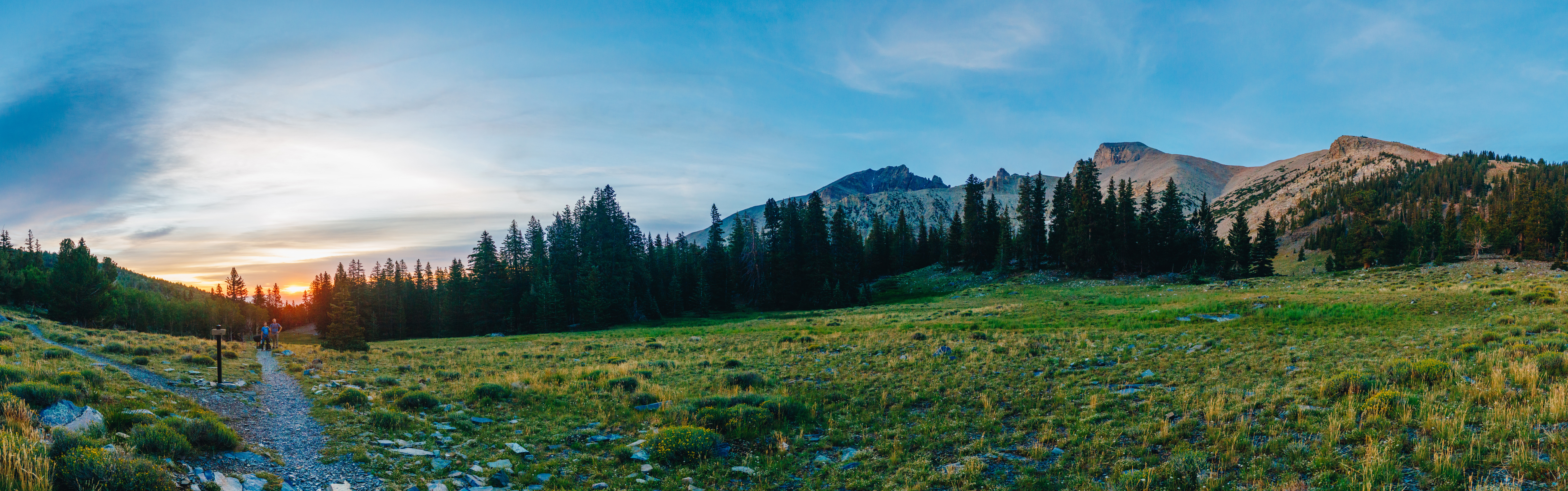 A wide panorama of a high alpine meadow at Great Basin National Park at sunset, with Wheeler Peak rising on the right. A gravel trail with a wooden trail sign leads from the left foreground, where two hikers stand silhouetted against the setting sun. Dark conifer forest borders the grassy meadow, while the rugged, partly bare summit ridge catches warm evening light under a streaked blue sky.