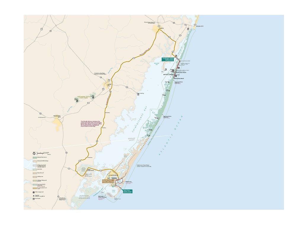 Map of Assateague Island National Seashore in Maryland. The park areas are shown in shades of green, surrounding areas are tan, towns are represented in yellow, and waterways are blue.