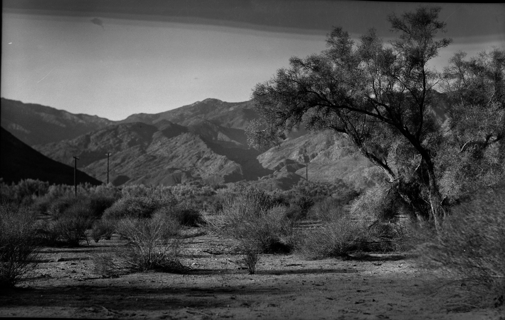 SEKI Roberts Collection Series: 2 Negatives; 10 Outside of the Park