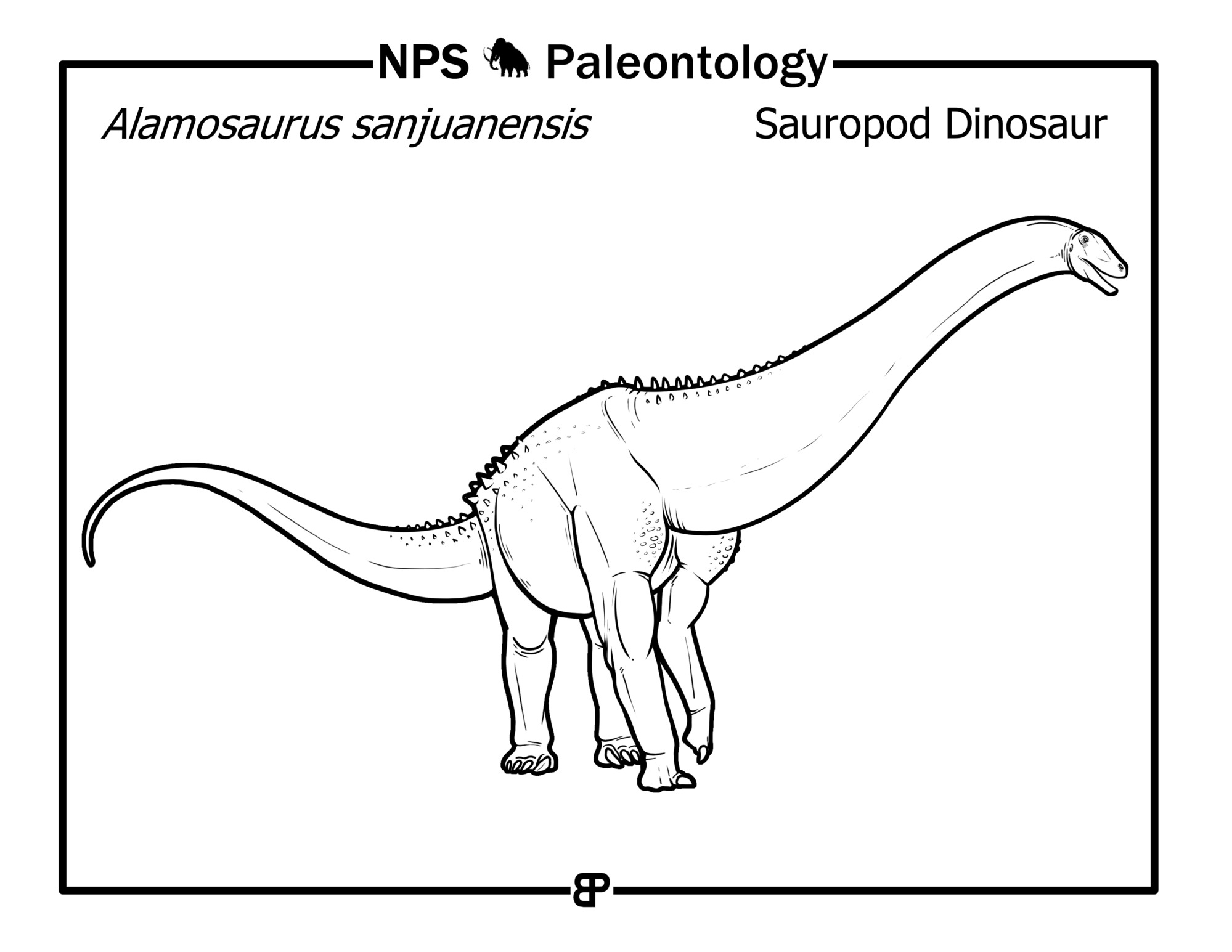 black and white drawing of a long-necked dinosaur