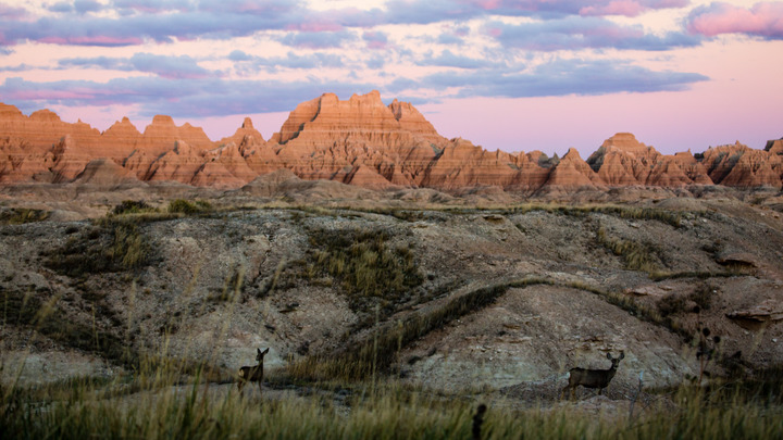 Bicchierino Da Liquore Da Collezione | Badlands National Park South Dakota | 5,7 Cm | Souvenir Raro Per Collezionisti E Viaggiatori
