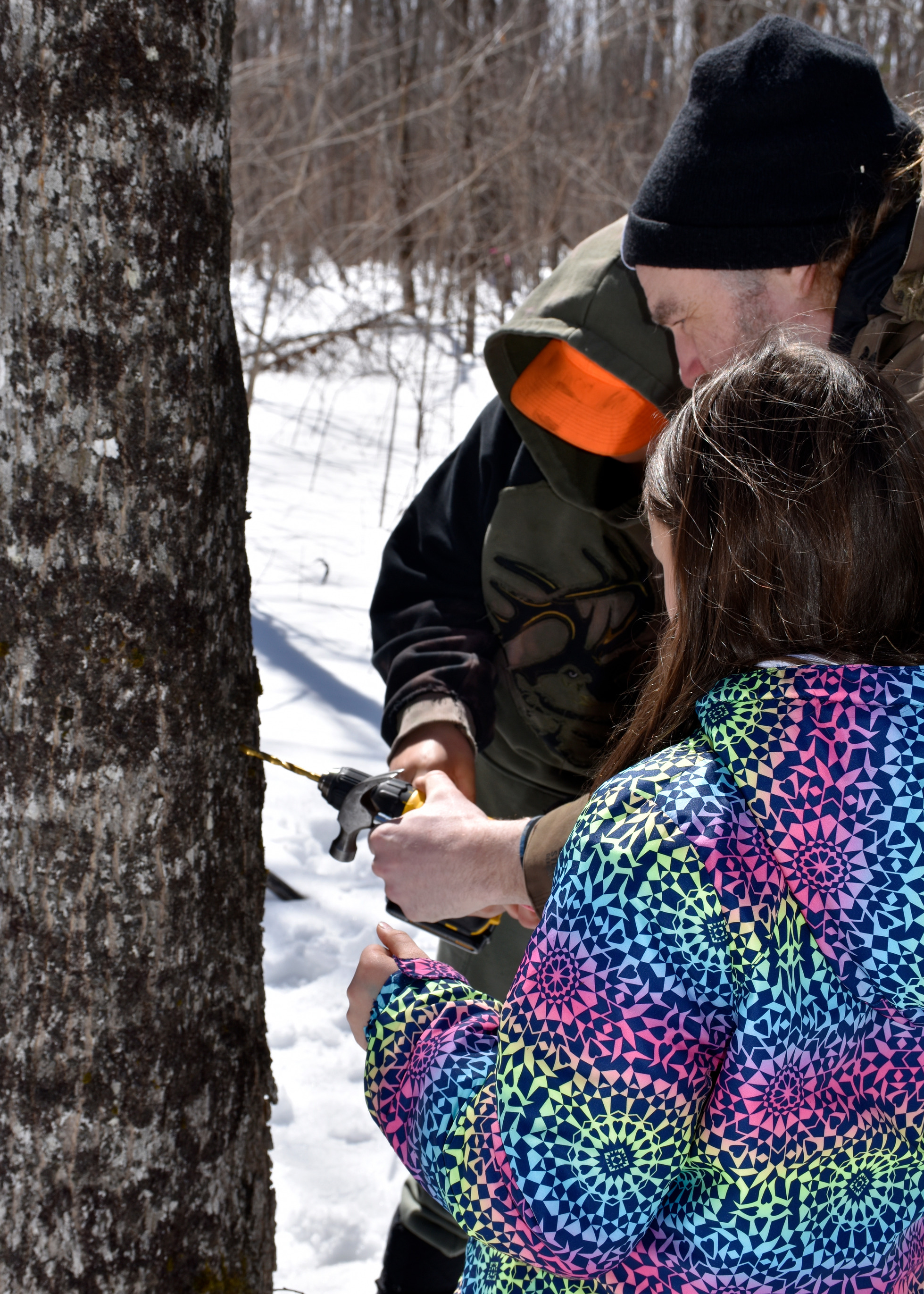 Three people huddle together around a drill pointed toward a tree trunk.