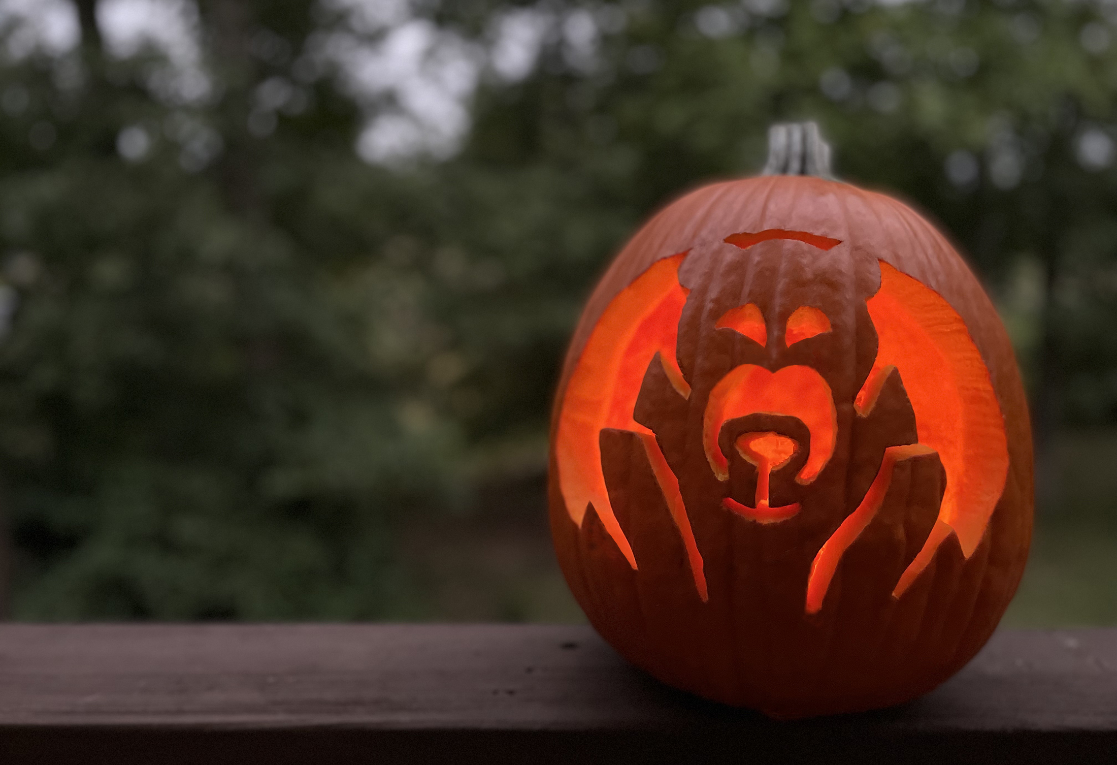 Pumpkin Carving Ideas