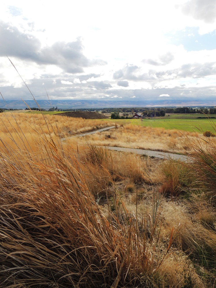 Hiking trail to Monument Hill