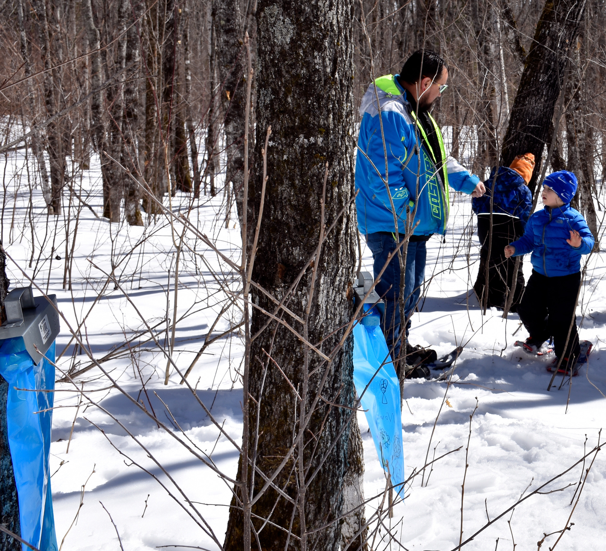 An adult wearing a blue jacket fist bumps a child also wearing a blue jacket and hate. Another child is busy with a tree. Two blue plastic bags hang on trees in the foreground.