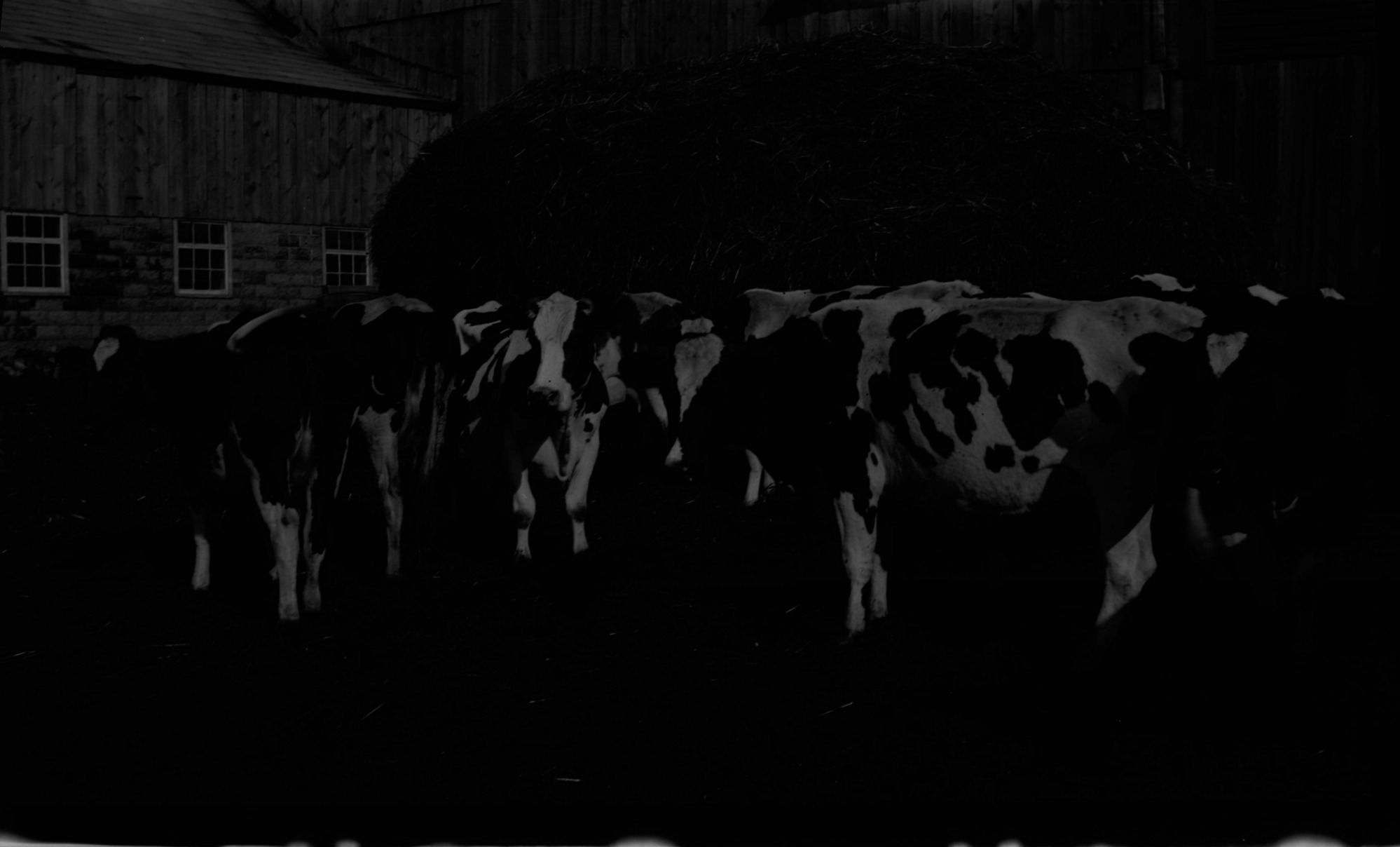 SEKI Roberts Collection Series: 2 Negatives; 3 Fauna