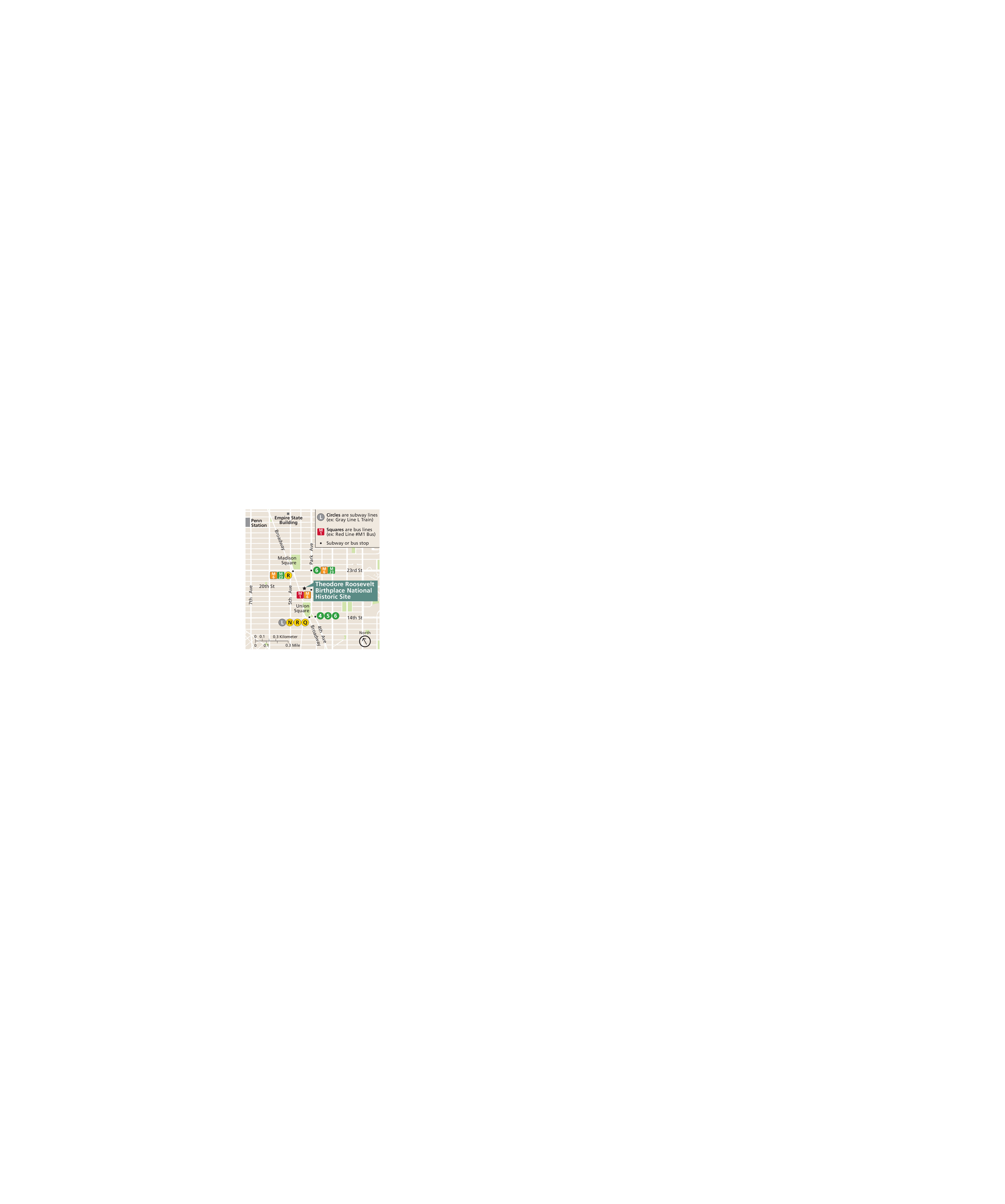 Area map of Theodore Roosevelt Birthplace National Historic Site in New York. The site is near the center of a grid of white streets among tan city blocks. Two squares, shown in green, and two buildings are labeled in addition to the historic site.