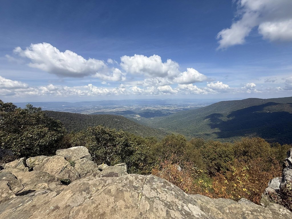 Gallery Item Display, image size:1024x768