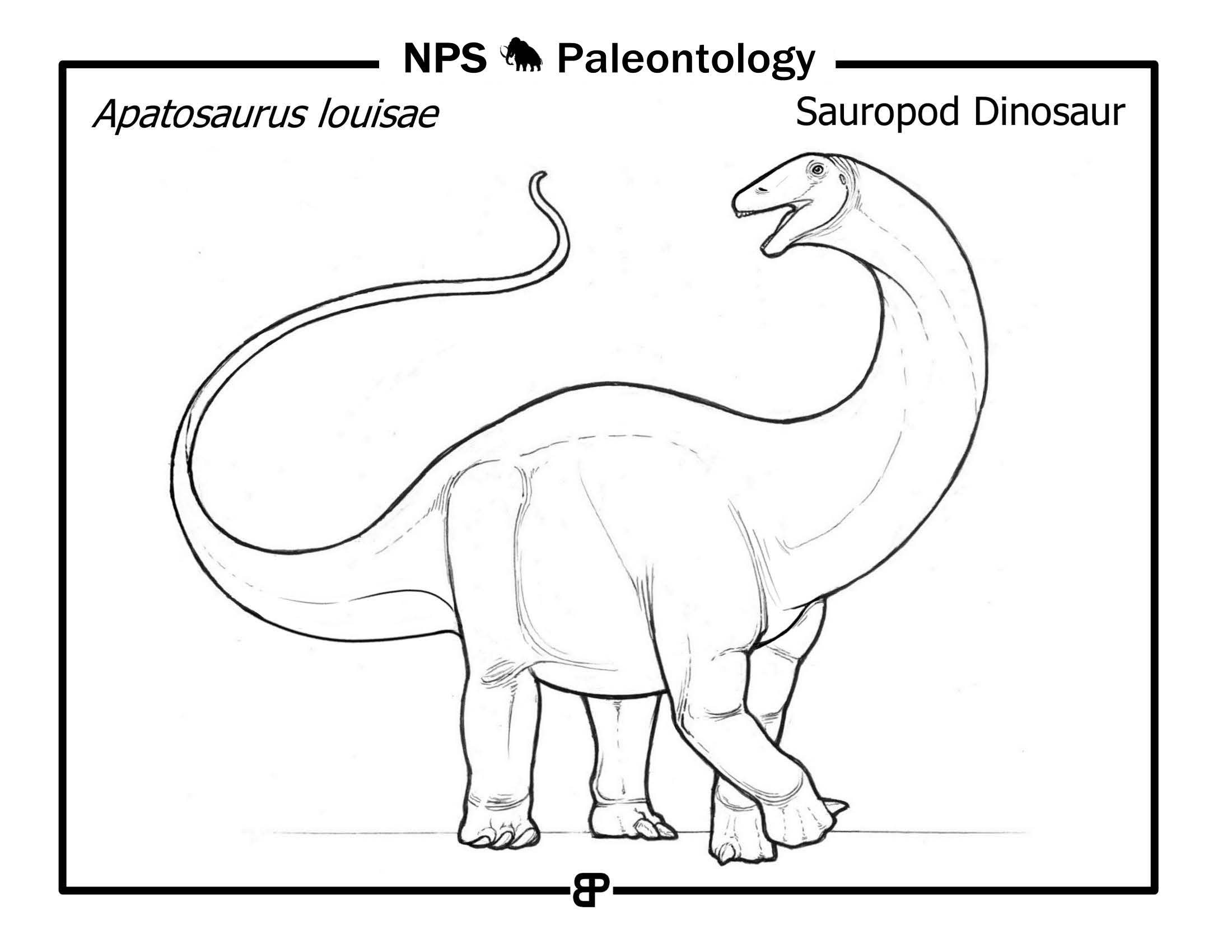 line drawing of a large dinosaur with long neck and tail
