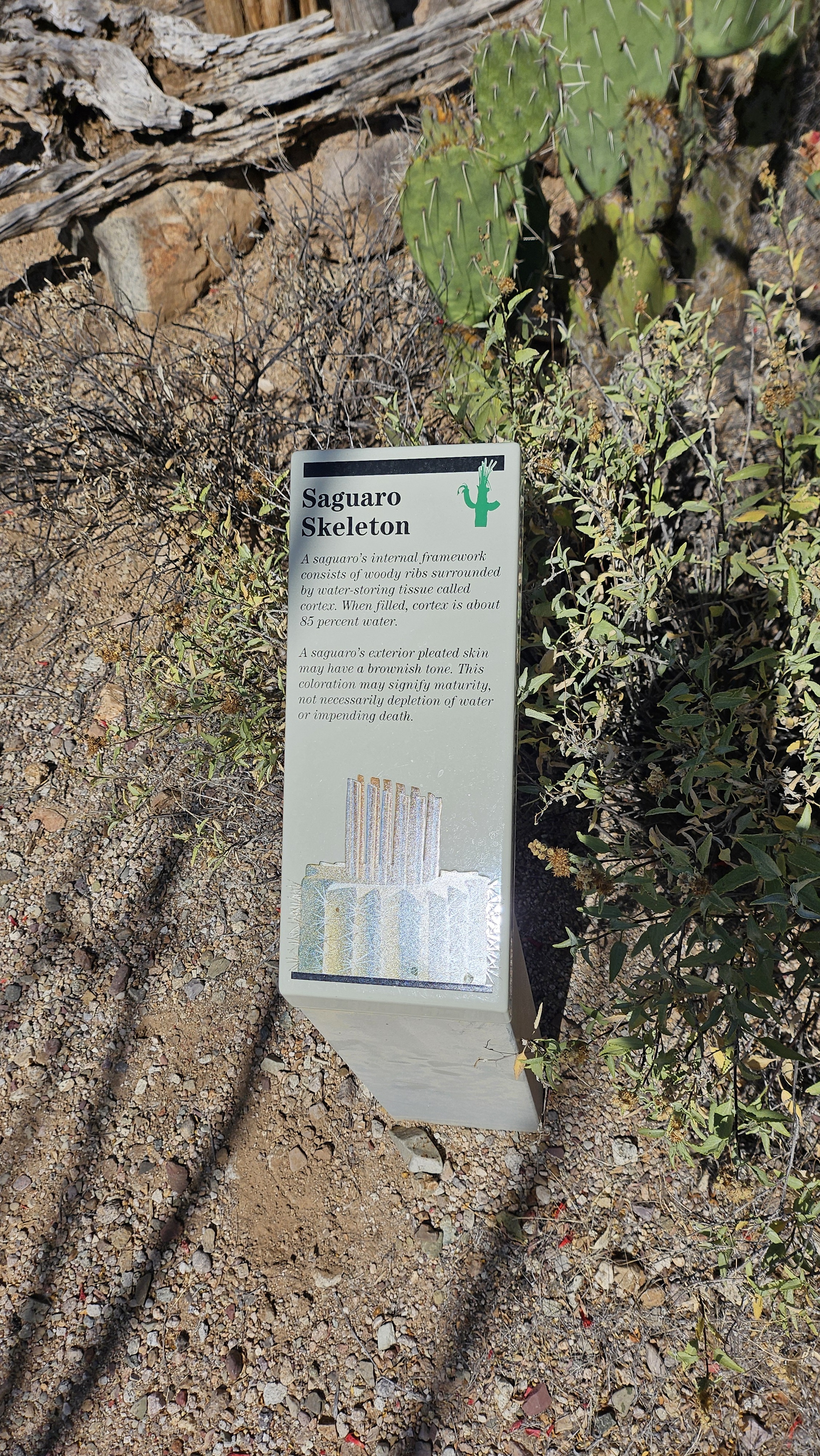 Photo (U.S. National Park Service)
