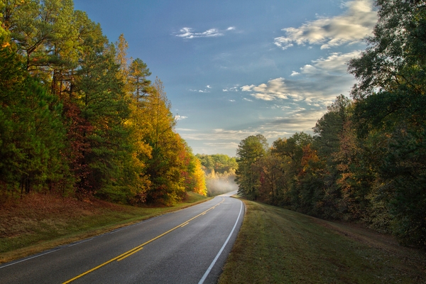 Natchez Trace Parkway | Historic Sites In Tennessee