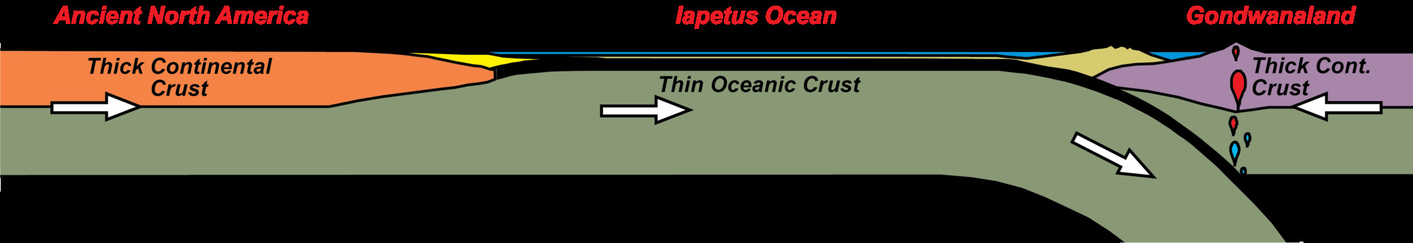 diagram of oceanic crust being subducted under continental crust