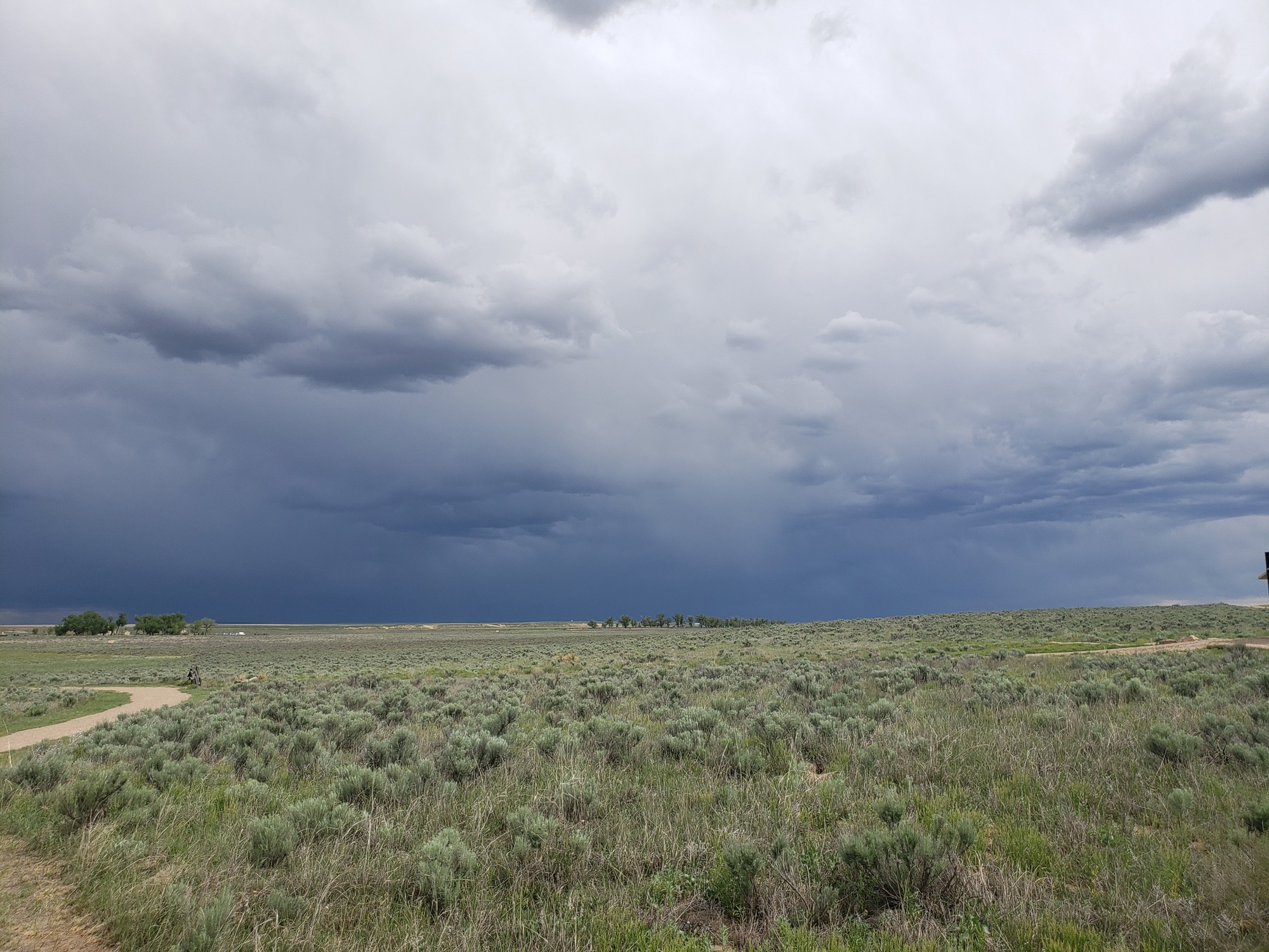 Beyond the grassy plains, very dark clouds cover the horizon.