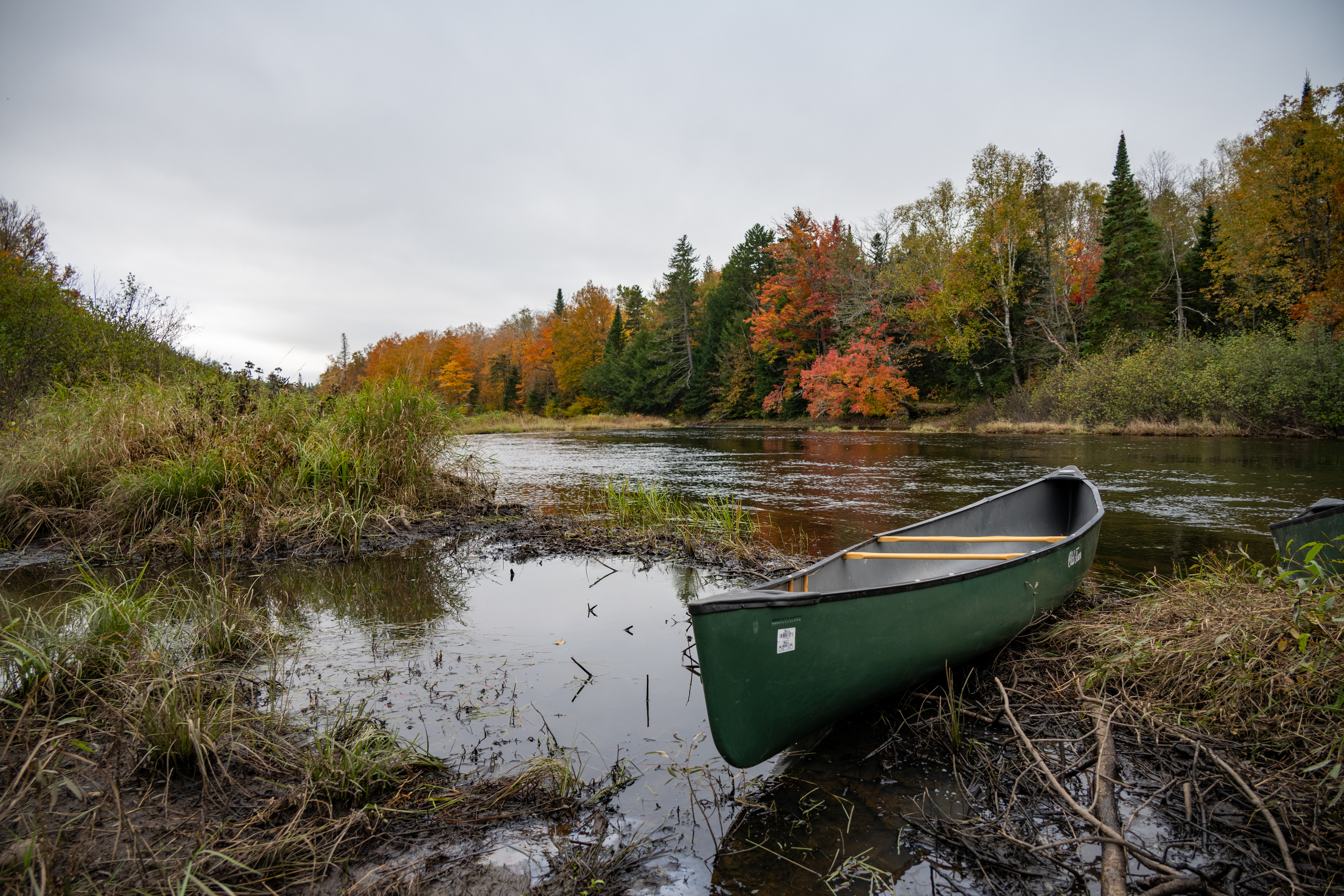 A green canoe sits on the shores of a grassy waterway with red, orange, and green trees in the background.