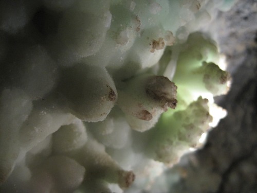Aragonite