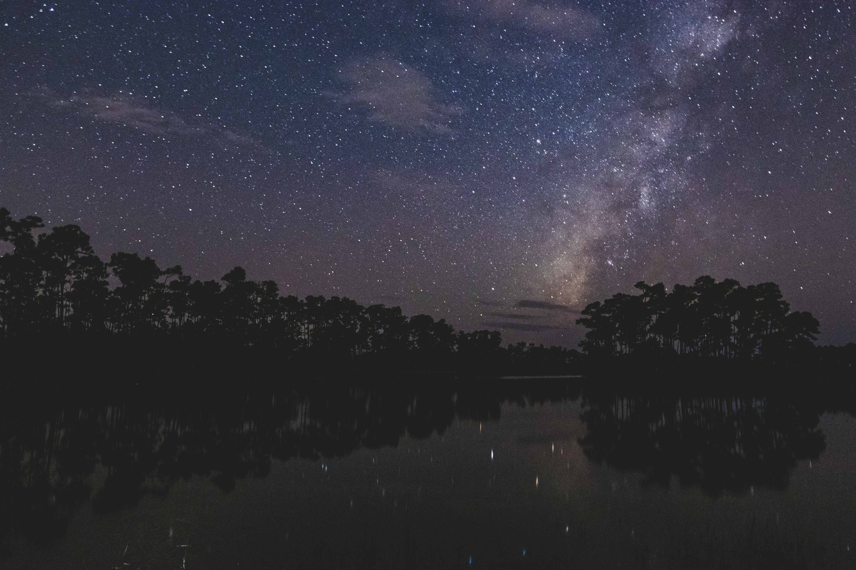 A wide night-time landscape showing a silhouette of a pinewood forest reflected on a lake. The sky is filled with stars and the Milky Way is visible above the forest.