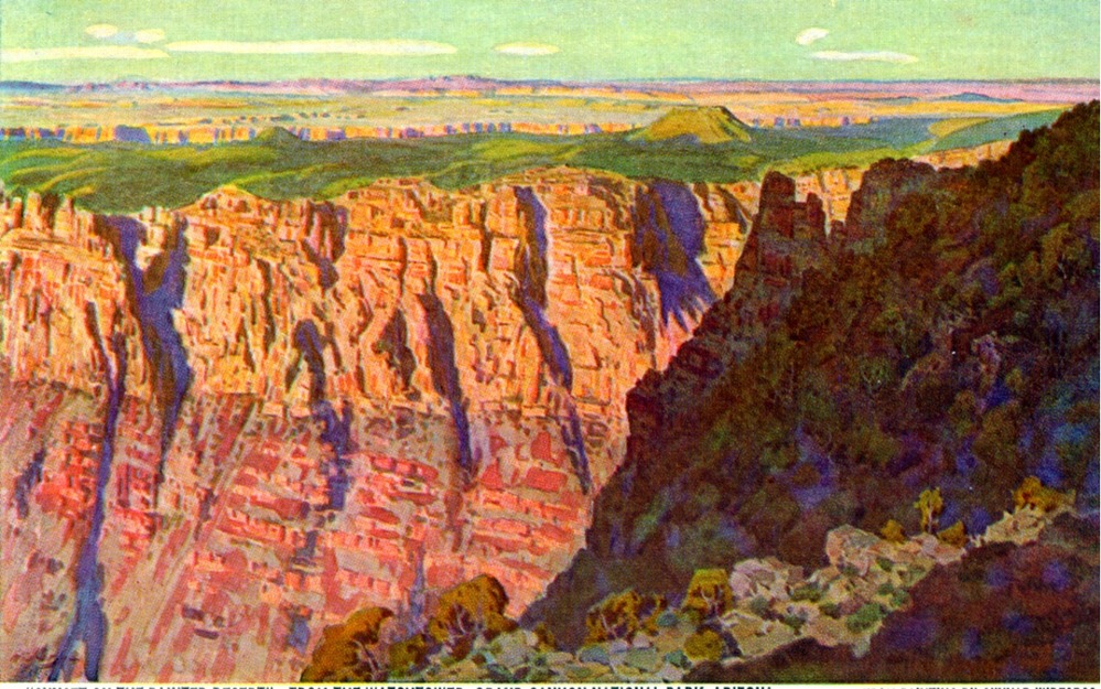 Grand Canyon Nat Park: Widforss Postcard H4487