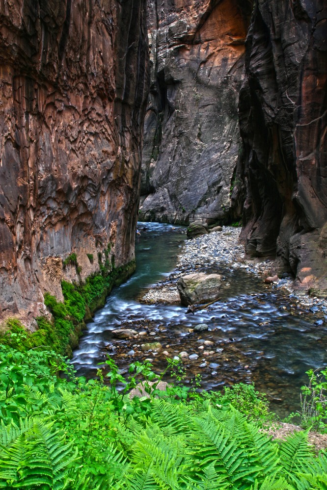 A river passes through a narrow slot canyon with green ferns growing along the side. 