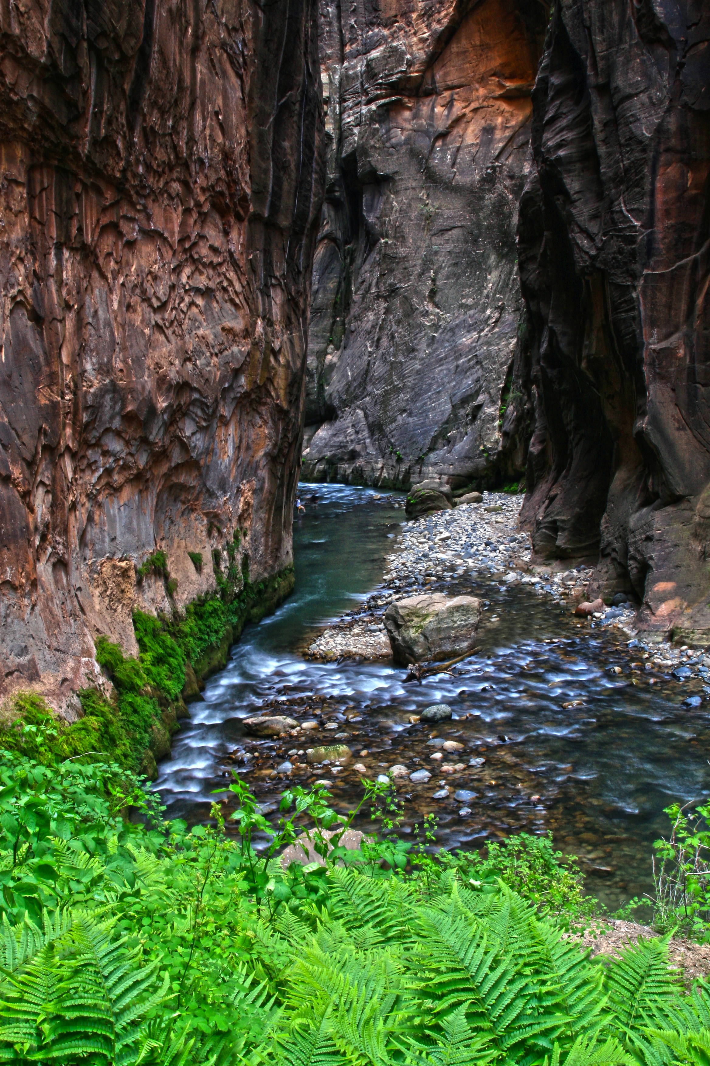 The Virgin River passing through The Narrows with ferns along the canyon wall