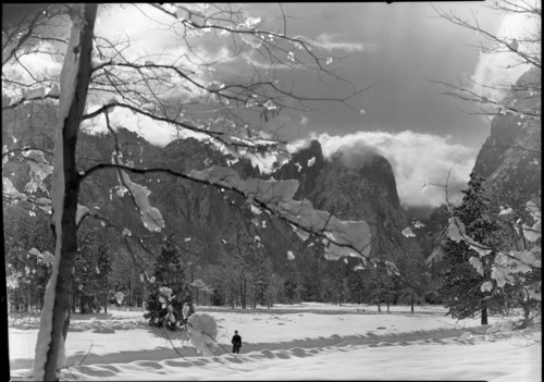 Job No. 101. Looking through oak trees toward Cathedral Rocks.