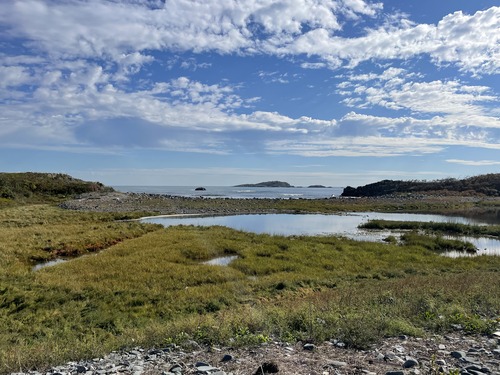 A salt marsh, surrounded by low grasses. The shoreline beyond the grass is composed of sand and cobble. In the background, two drumlins can be seen rising from the ocean. 