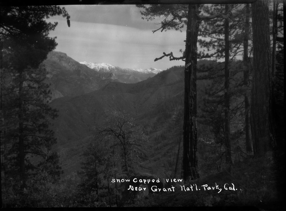 SEKI Roberts Collection Series: 2 Negatives; 12 Scenics