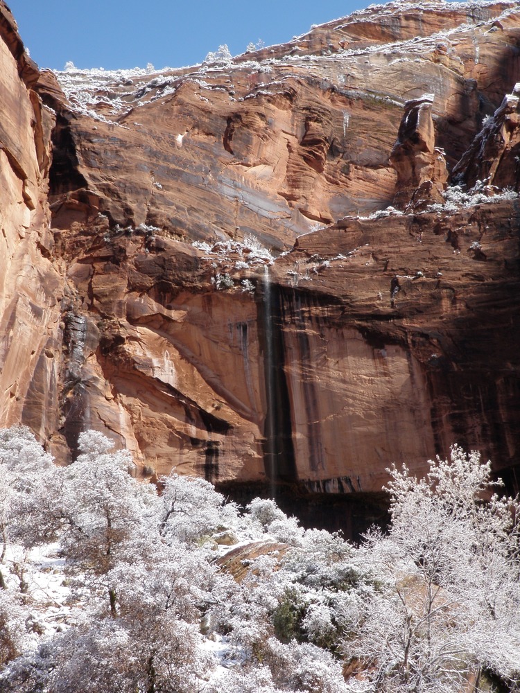 Snow covered trees stand below a thin waterfall from the red canyon walls. 