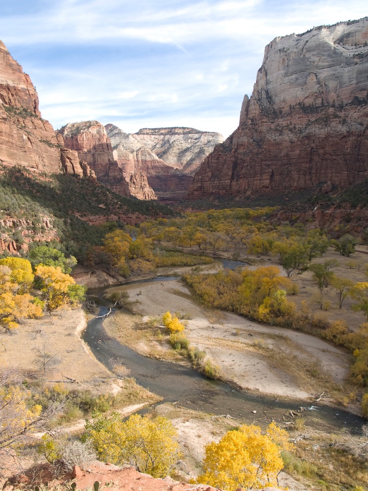 Yellow trees grow along the river with the canyon walls in the background. 
