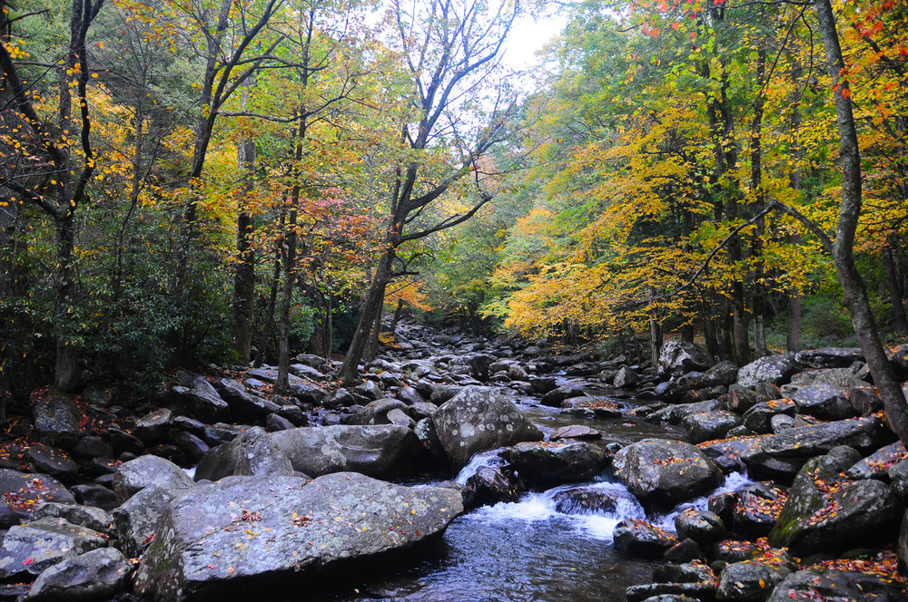 Mid-October 2013