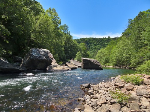 riverbed and green trees and blue sky