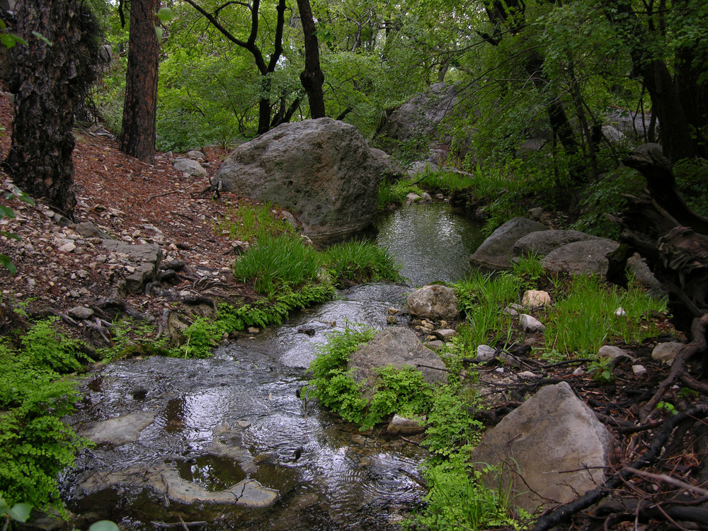 Smith Spring flowing