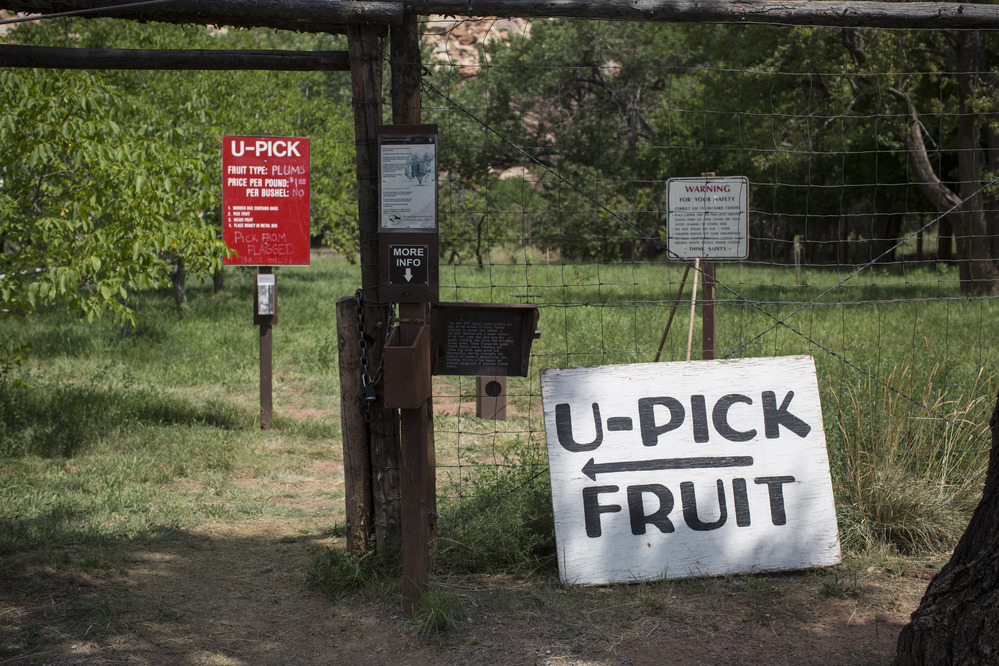 regulation signs stand at an orchard's entrance gate