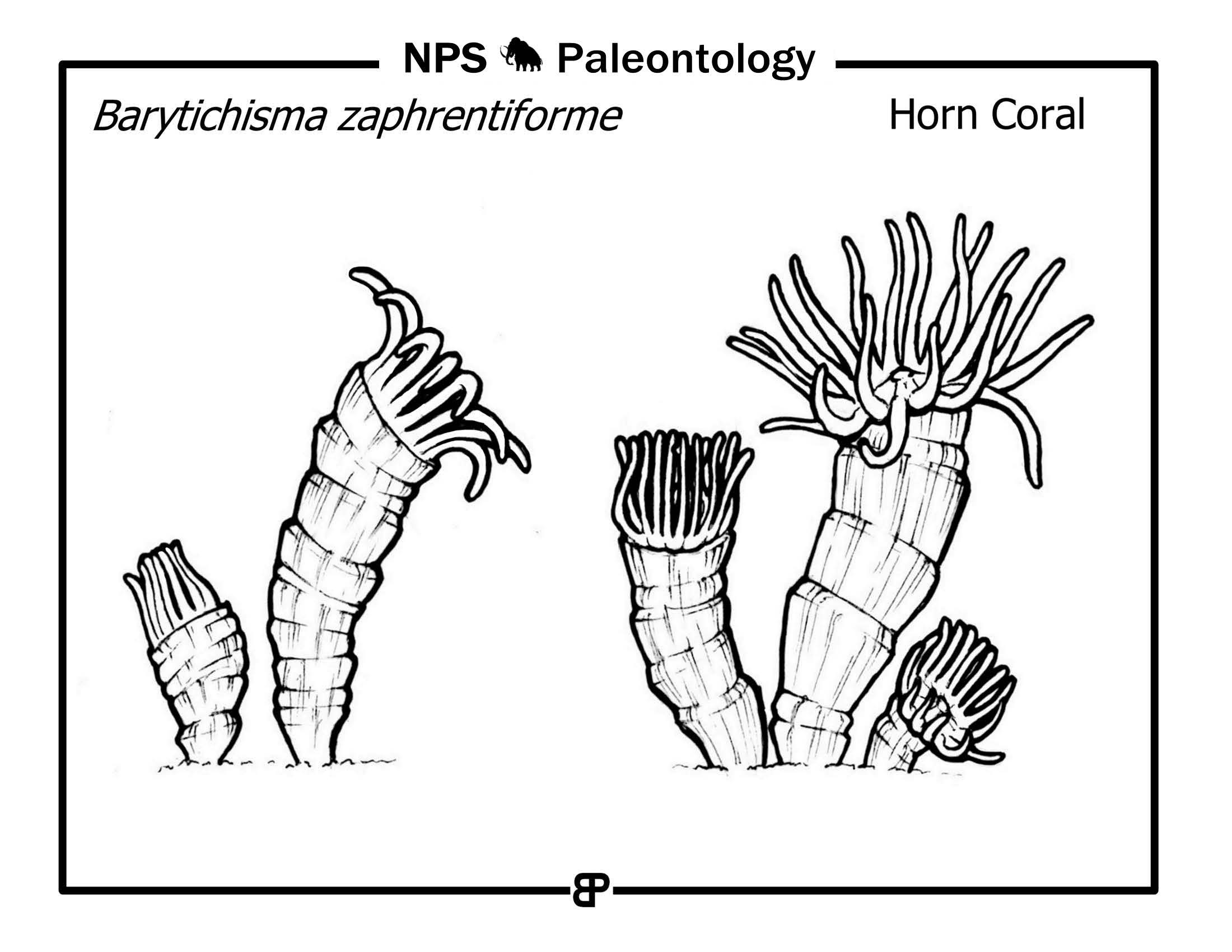 Paleozoic Era—Prehistoric Life in the National Parks Coloring Book