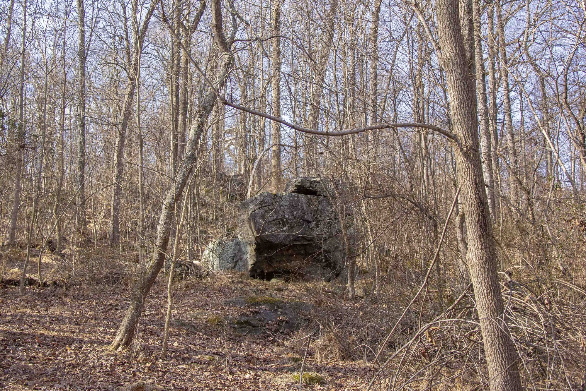 Culp's Hill 2021 Rehabilitation - Volume 1