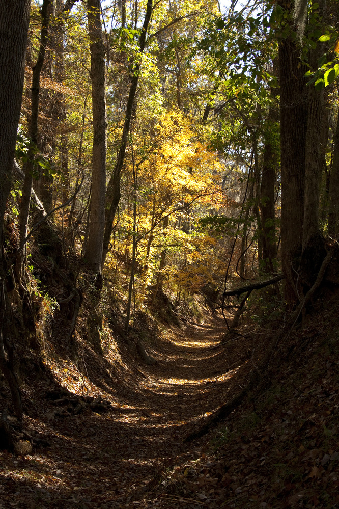 Potkopinu Section of the Natchez Trace National Scenic Trail