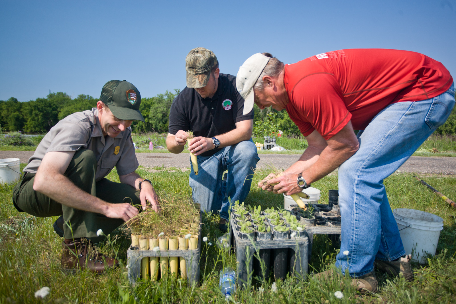 A park ranger assisting volunteers in a conservation project, representing the volunteer coordination and program management that nonprofit project management software must support. Source: Wikimedia Commons Public Domain (US National Park Service).