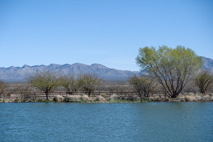 Multimedia Search (U.S. National Park Service)