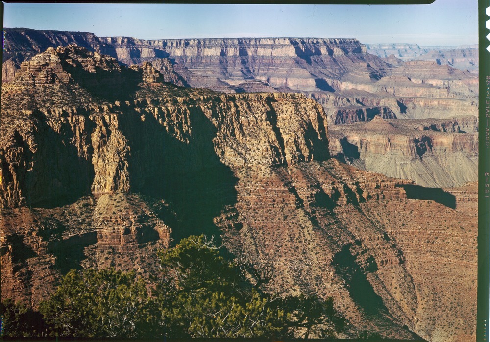 Moran Point