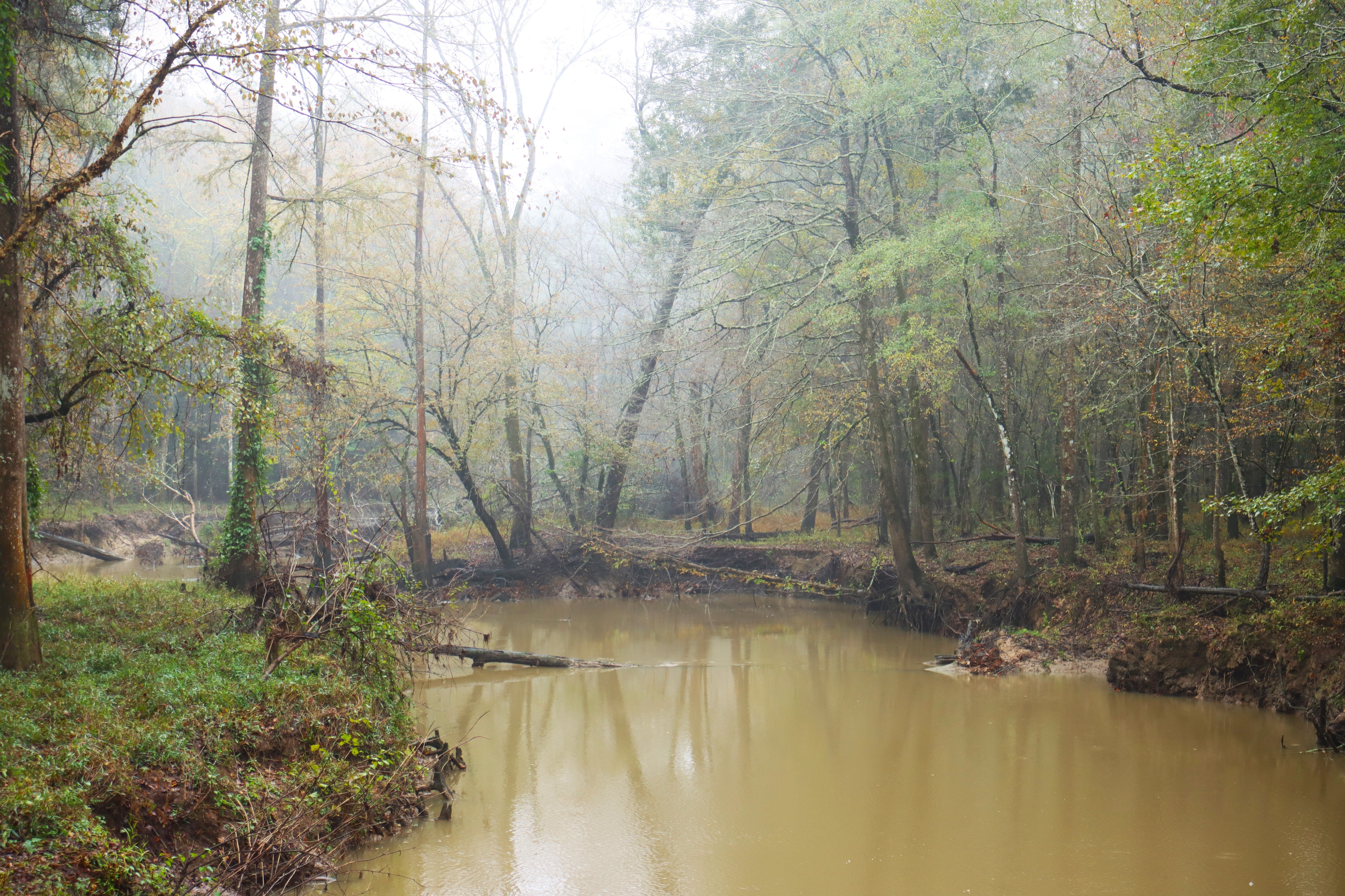 Little Turkey Creek