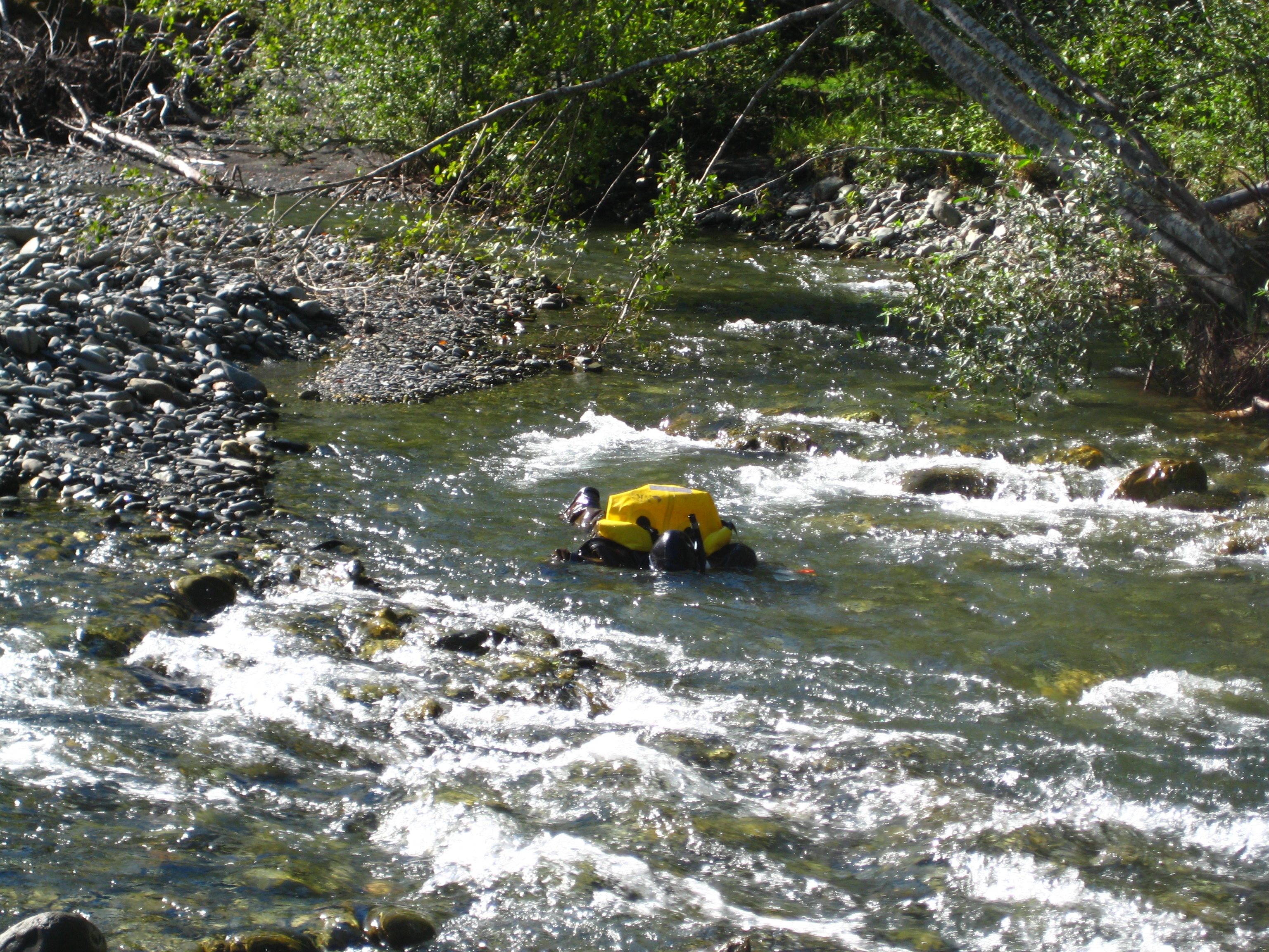 Video U S National Park Service
