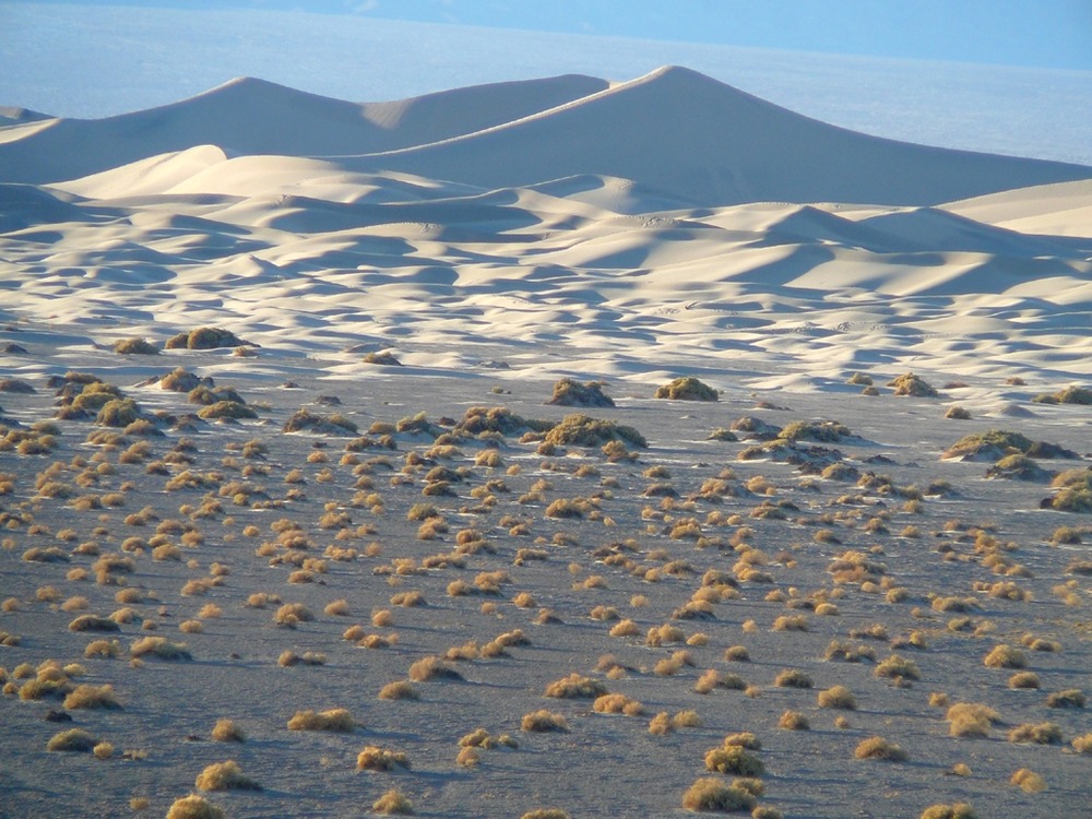 Sand Dunes - Death Valley National Park (U.S. National Park Service)